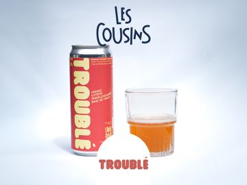 SODA FRAISE CITRON PAMPLEMOUSSE BAIE DE TIMUR