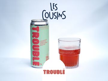 SODA FRAMBOISE HIBISCUS CONCOMBRE MENTHE