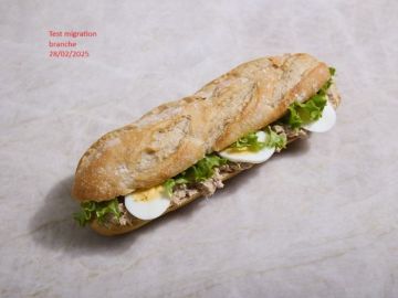 Sandwich test migration branche